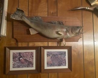 Quail and Pheasant Photo (Rainbow Trout Fish is sold)