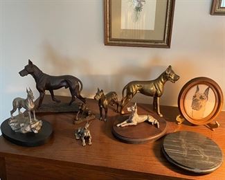 Great dane in the morning look at all of those.