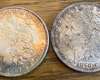 Toned Morgan Dollar