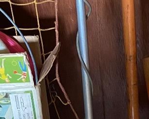 Radio Shack Metal Detector