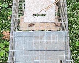 Animal Trap