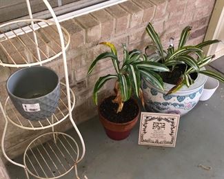Iron plant stand and plants and pots