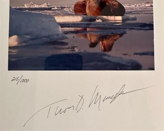 Limited Editon "Images of Nature" Signed by THOMAS MANGELSEN (215/1000)