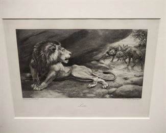 Lion