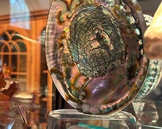 Stunning Abalone shell mounted on lucite...