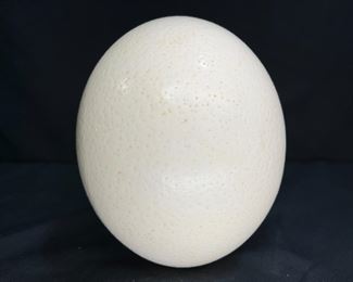 Hollowed & Cleaned Ostrich Egg