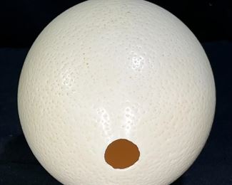 Hollowed & Cleaned Ostrich Egg