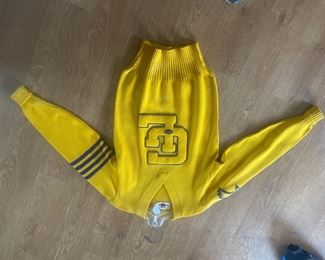 Grand Ledge varsity sweater