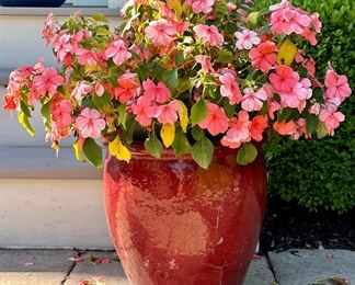 (2) Planters with Geraniums