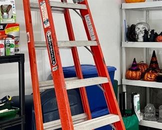 Louisville 10' Ladder