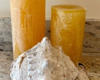 Conch Shell & Candles