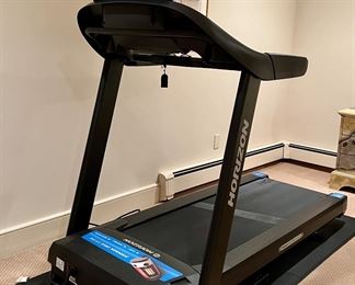 Item 42: Horizon Treadmill: $495