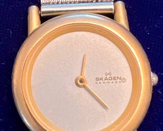 Skagen Watch