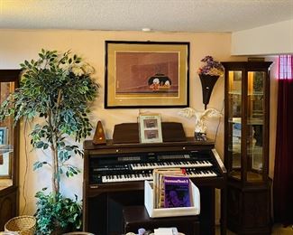 Pair (Two) Lit Curio Cabinets Curios (Sold Individually), Working Beautiful Roland AT70 Organ, 