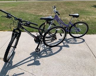 2 of the bicycles