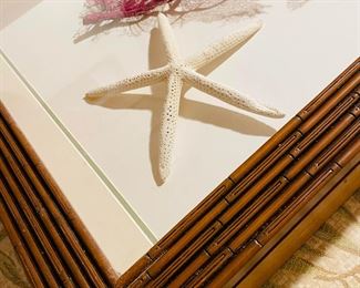 art shadow box coral