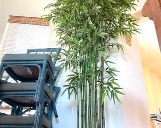 silk plants in all sizes and shapes up to 8 feet tall