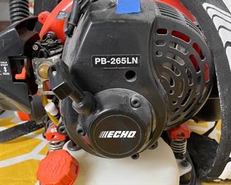 echo gas backpack blower