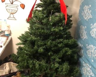 5 1/2 foot tall tree