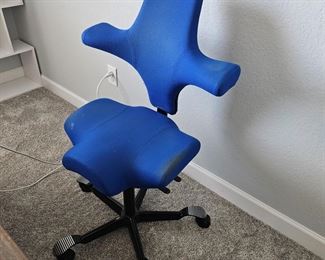 HAG Capisco 8106 Office Chair with Multiple Uses and Comfort 