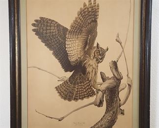 Guy Coheleach Signed 1970 Owl Print
