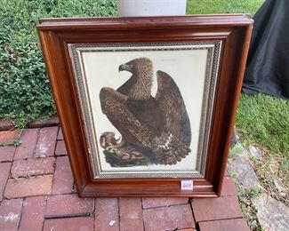 antique walnut framed. The bald eagle print.