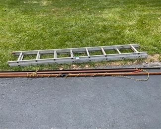 LADDER AND TREE POLE