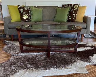 Room & Board Sofa, Pier 1 Coffee Table, Hide Rug
