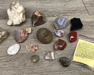 rocks and fossils