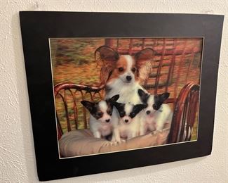 3-D dog photo