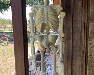 plastic skeleton