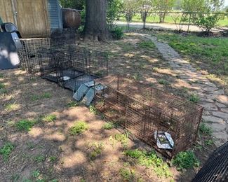 live animal traps