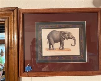 elephant drawing, framed