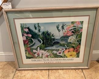 31. Fairchild Tropical Garden Regained - 1992