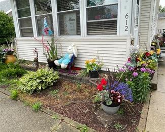 All potted plants and planters for sale