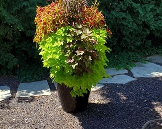 Large floral pots (extremely heavy)