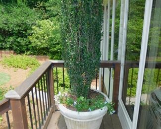 LARGE GARDEN PLANTER WITH LIVE PLANTS