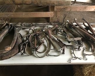 collars, harnesses, bridles, yokes 19th/20th century