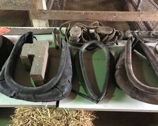 work horse collars