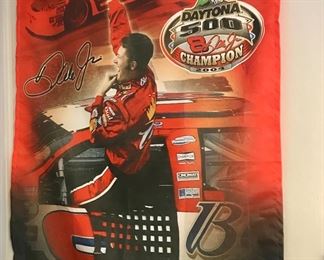 Dale Earnhardt JR. Wall Hanging 