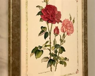 Floral Art by Carolyn J. Cappelio 