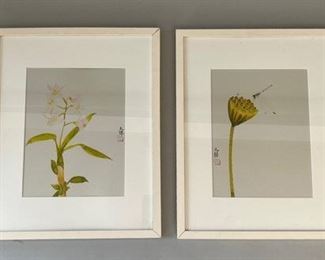 Set Of 2 Japanese Botanical And Dragonfly Watercolors, Modern