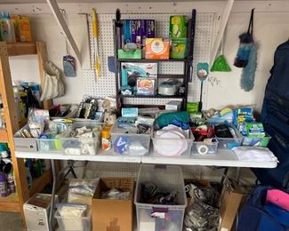 Cleaning products, Masks and gloves, air fresheners