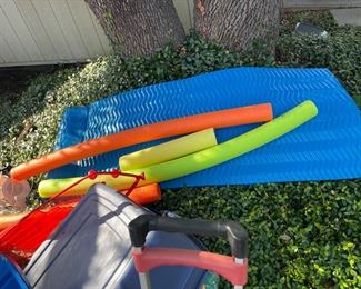 Noodles and Pool Float