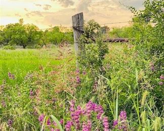 Come on down and visit the farmhouse and stay a while and find a few or more treasures! We'd love to see' ya! It's just over yonder!