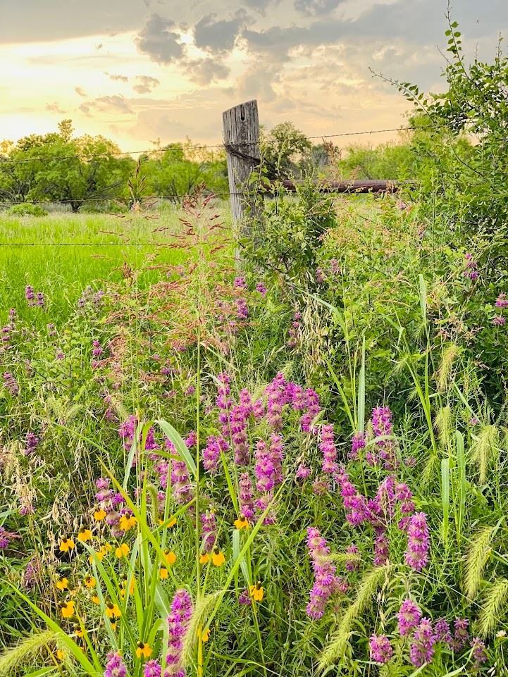 Come on down and visit the farmhouse and stay a while and find a few or more treasures! We'd love to see' ya! It's just over yonder!