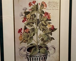 Antique English engraving