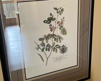 Pair of Royal Warrant Antique colored engravings 