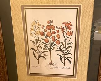 Pair of English lithographs 