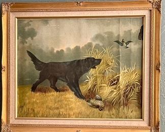 Vintage Framed Birddog Print 